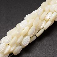Natural Trochid Shell/Trochus Shell Beads Strands, Leaf, Creamy White, 9x6x3~4mm, Hole: 1mm, about 44pcs/strand, 15.35(SSHEL-K015-04)