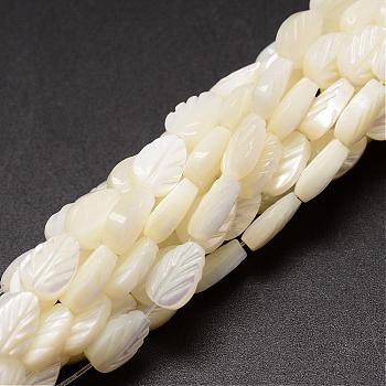 Natural Trochid Shell/Trochus Shell Beads Strands, Leaf, Creamy White, 9x6x3~4mm, Hole: 1mm, about 44pcs/strand, 15.35