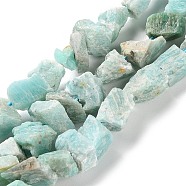 Raw Rough Natural Amazonite Beads Strands, Nuggets, 4~11x4.5~14.5x4.5~14.5mm, Hole: 0.8mm, about 41~43pcs/strand, 15.35~15.94''(39~40.5cm)(G-B065-C04)