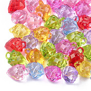 Transparent Acrylic Pendants, Faceted, Strawberry, Mixed Color, 25~25.5x16~17x16.5mm, Hole: 3.5x4mm, about 180pcs/500g(TACR-T005-12)
