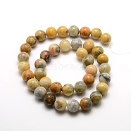 Round Natural Crazy Agate Beads Strands, 10mm, Hole: 1mm, about 39pcs/strand, 15.7 inch(G-P058D-01)