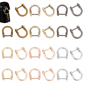 24Pcs 6 Colors Alloy D-Ring Anchor Shackle Clasps, for Bracelet Making, Mixed Color, 30x26.5x7.5mm, 4pcs/color