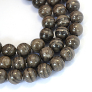 Natural Black Wood Lace Stone Round Bead Strands, 10~10.5mm, Hole: 1.2mm, about 36pcs/strand, 15.5 inch(X-G-E334-10mm-03)