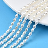 Natural Cultured Freshwater Pearl Beads Strands, Rice, Seashell Color, 5~6x3.5~4mm, Hole: 0.7mm, about 71~74pcs/strand, 14.72 inch~15.04 inch(37.4~38.2cm)(PEAR-N012-03G)