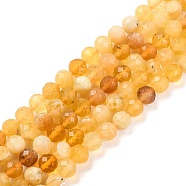 Natural Yellow Opal Beads Strands, Faceted, Round, 6mm, Hole: 1mm, about 65pcs/strand, 15.35 inch(39cm)(G-F770-C08-05)