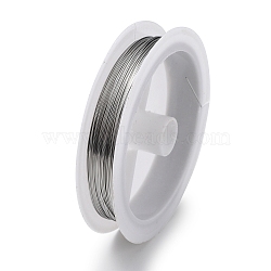 Non-Tarnish 10 Rolls 304 Stainless Steel Wire, Round, for Wire Wrapping Jewelry Making, Stainless Steel Color, 24 Gauge(0.5mm), about 65.62 Feet(20m)/roll(TWIR-H001-01D-P)