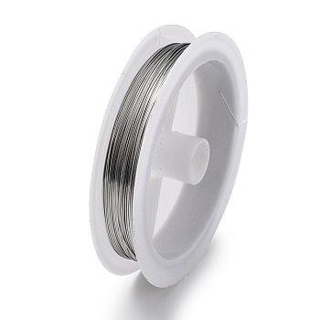 10 Rolls 304 Stainless Steel Wire, Round, for Wire Wrapping Jewelry Making, Stainless Steel Color, 24 Gauge(0.5mm), about 65.62 Feet(20m)/roll