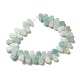 brins de perles d'amazonite de fleurs naturelles(G-B064-B35)-3