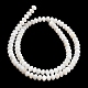 Natural Freshwater Shell Beads Strands(SHEL-C010-04A-02)-3