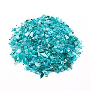 Natural Freshwater Shell Beads, Shell Shards, Dyed, No Hole, Chip, Dark Turquoise, 1~10x1~4x0.5~2mm(BSHE-I011-03B)