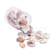 1 Box Scallop Seashells Clam Shell Dyed Beads with Holes for Craft Making 40-50pcs(BSHE-YW0001-01)