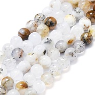 Natural White African Opal Beads Strands, Round, 6mm, Hole: 0.6mm, about 62~64pcs/strand,14.96''~15.35''(38~39cm)(G-K245-A18-02)