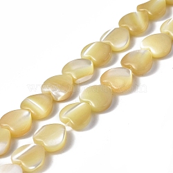 Natural Trochid Shell/Trochus Shell Beads Strands, Heart, Pale Goldenrod, 8x8x3mm, Hole: 1mm, about 51pcs/strand, 15.47 inch(39.3cm)(SHEL-F003-08C)