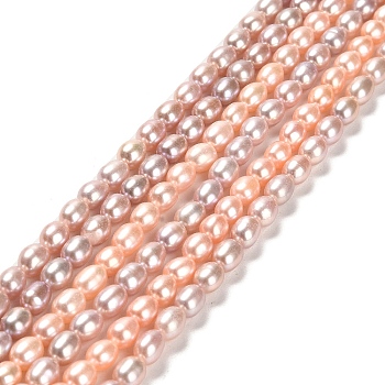Natural Cultured Freshwater Pearl Beads Strands, Rice, Grade 5A, Colorful, 5.5~6.5x4.5~5mm, Hole: 0.5mm, about 61pcs/strand, 14.61''(37.1cm)