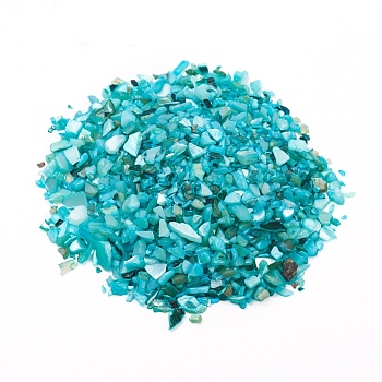 Natural Freshwater Shell Beads, Shell Shards, Dyed, No Hole, Chip, Dark Turquoise, 1~10x1~4x0.5~2mm