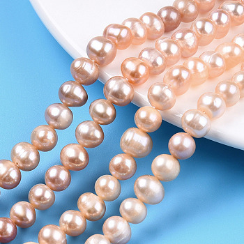Natural Cultured Freshwater Pearl Beads Strands, Potato, Dark Orange, 7.3~8.5x6.5~7mm, Hole: 0.7~0.8mm, about 53pcs/strand, 13.98 inch(35.5cm)