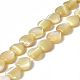 Chapelets de perles de coquille de trochid / trochus coquille(SHEL-F003-08C)-1