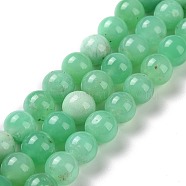 Natural Chrysoprase Beads Strands, Round, 8mm, Hole: 1mm, about 50pcs/strand, 15.9 inch(40.5cm)(G-O166-03-8mm)