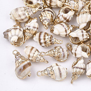 Electroplate Spiral Shell Pendants, with Iron Findings, Light Gold, Seashell Color, 18~25x10~15x8~12mm, Hole: 2mm(X-SSHEL-S262-20)