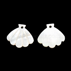 Natural White Shell Pendants, Shell Charm, Seashell Color, 14x15x1mm, Hole: 1mm(SSHEL-K028-01)