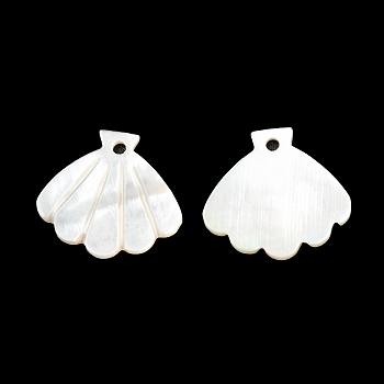 Natural White Shell Pendants, Shell Charm, Seashell Color, 14x15x1mm, Hole: 1mm