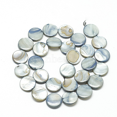 Natural Shell Beads Strands(PBB251Y-3)-2