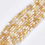 Yellow Shell Beads Strands, Round, Gold, 3~3.5mm, Hole: 0.6mm, about 117pcs/strand, 15.1 inch(SHEL-S274-93B)