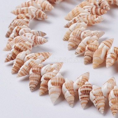 Natural Spiral Shell Beads Strands(X-BSHE-I016-08)-3