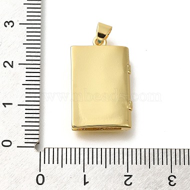 crémaillère en laiton placage pendentifs médaillon(KK-Z086-49G)-3