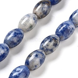 Natural Blue Spot Jasper Beads Strands, Rice, 12x8mm, Hole: 1.2mm, about 33pcs/strand, 15.94''(40.5cm)(G-B106-B29-01)