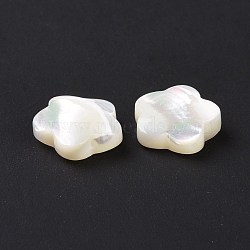 Natural Trochid Shell/Trochus Shell Beads, Flower, 12x12x3.5mm, Hole: 0.8mm(X-SSHEL-N036-047)