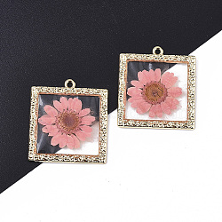 Epoxy Resin Pendants, with Dried Flower Inside and Light Gold Plated Alloy Open Back Bezel, Square, Pink, 34x30x2mm, Hole: 1.8mm(X-RESI-T045-029C)