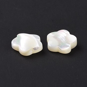 Natural Trochid Shell/Trochus Shell Beads, Flower, 12x12x3.5mm, Hole: 0.8mm