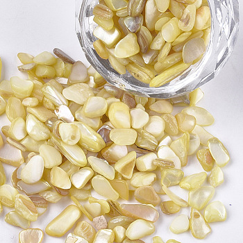 Shell Beads, For Nail Art Decoration Accessories, No Hole/Undrilled, Dyed, Chips, Pale Goldenrod, 2~13x2~5x0.5~4mm, about 450g/bag