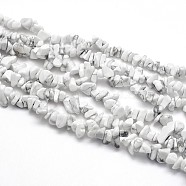 Natural Howlite Beads Strands, Chips, 5~8x5~8mm, Hole: 1mm, about 31.5 inch(X-G-O049-B-40)