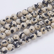 Natural Dalmation Jasper Beads Strands, Round, 4mm, Hole: 1mm, about 43pcs/strand, 7.6 inch(X-G-G515-4mm-06)