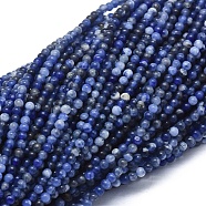 Natural Sodalite Beads Strands, Round, 2mm, Hole: 0.5mm, about 195pcs/strand, 15.35 inch(39cm)(G-A177-04-22)