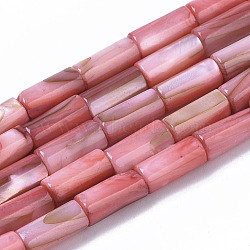 Natural Freshwater Shell Beads, Dyed, Column, Light Coral, 10x4.5mm, Hole: 0.9mm, about 36pcs/Strand, 14.17 inch(36 cm)(X-SHEL-R047-01D)