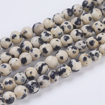 Natural Dalmation Jasper Beads Strands, Round, 4mm, Hole: 1mm, about 43pcs/strand, 7.6 inch