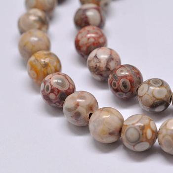 Natural Maifanite/Maifan Stone Beads Strands, Round, 10mm, Hole: 1mm, about 38pcs/strand, 15.1 inch