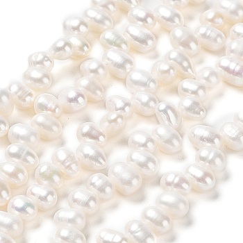 Natural Cultured Freshwater Pearl Beads Strands, Rice, Seashell Color, 7.5~9x5~6mm, Hole: 0.2mm, about 68pcs/strand, 14.06''(35.7cm)