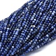 Natural Sodalite Beads Strands(G-A177-04-22)-1