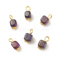 Natural Agate Pendants, with Golden Plated Iron Findings, Cube, Blue Violet, 14~16x7~8x6~7.5mm, Hole: 2~4mm(PALLOY-JF01586-05)