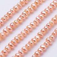 Natural Cultured Freshwater Pearl Beads Strands, Potato, Light Salmon, 2.5~4.5x4.5~6mm, Hole: 0.7mm,  about 87~90pcs/strand, 1.36~1.38 inch(34.5~35cm)(PEAR-F004-03)