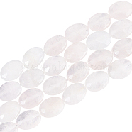 2 Strands Faceted Oval Natural Rose Quartz Beads Strands, 17x13x6mm, Hole: 1mm, about 13pcs/strand, 8.26''(20.98cm)(G-NB0004-33)