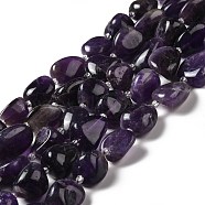 Natural Amethyst Beads Strands, Tumbled Stone, Nuggets, 18~29x15~20x11~17mm, Hole: 1.2~1.5mm, about 15~18pcs/strand, 15.75~17.13''(40~43.5cm)(G-B026-02A)