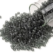 TOHO Round Seed Beads, Japanese Seed Beads, (9BF) Black Diamond Transparent Matte, 8/0, 3mm, Hole: 1mm, about 222pcs/bottle, 10g/bottle(SEED-JPTR08-0009BF)