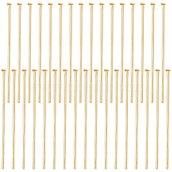 304 Stainless Steel Flat Head Pins, for Jewelry Making, Real 16K Gold Plated, 30x0.7mm, 21 Gauge, Head: 1.5mm, about 200pcs/box(STAS-BBC0004-37E)