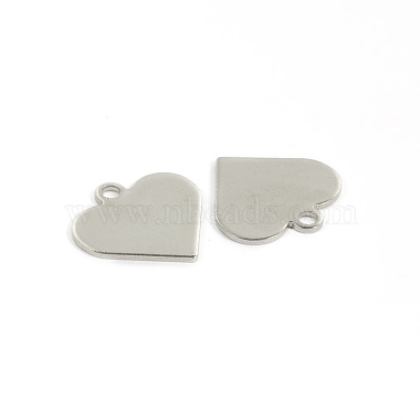 304 Stainless Steel Charms(STAS-G130-08P)-2
