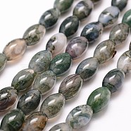 Natural Moss Agate Beads Strands, Rice, 12x8mm, Hole: 1.2mm, 33pcs/strand, 15.7 inch(G-N0173-07-8x12mm)